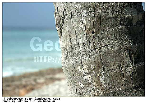 ��������, ����, ������, ����, ������, �����, ����