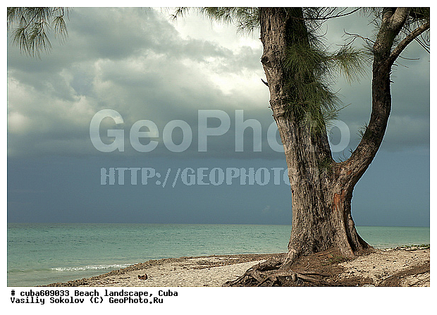 ��������, ����, ������, ����, ������, �����, ����