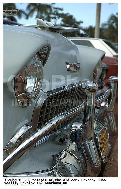 �����, ������, ����, ����������, �����, ����, ������, �������, �����, ������ ����������