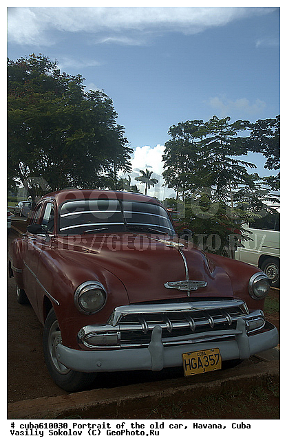 �����, ������, ����, ����������, �����, ����, ������, �������, �����, ������ ����������