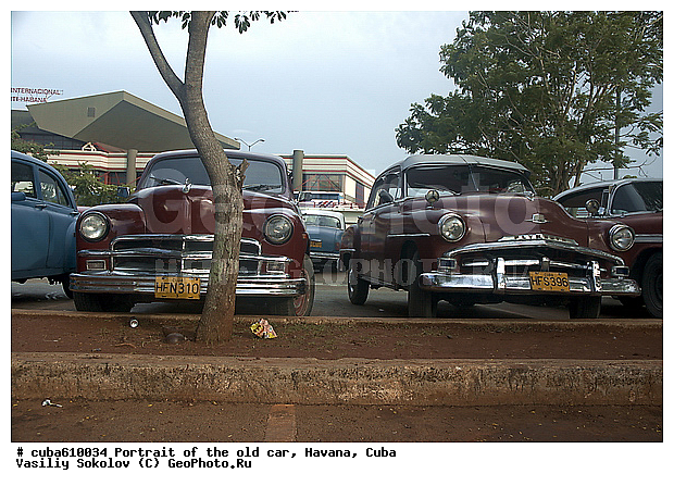 �����, ������, ����, ����������, �����, ����, ������, �������, �����, ������ ����������