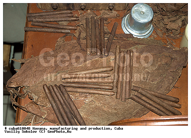 Havana cigar, ����, ��������� ������, ������������ �����, ��������� �����, ������, ������, �����, ��������