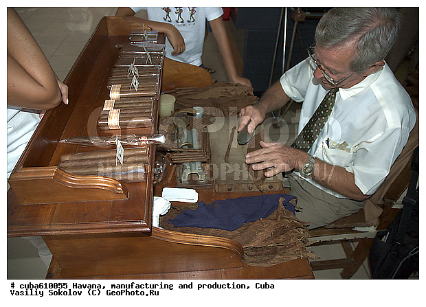 Havana cigar, ����, ��������� ������, ������������ �����, ��������� �����, ������, ������, �����, ��������