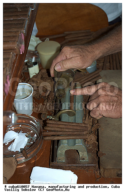 Havana cigar, ����, ��������� ������, ������������ �����, ��������� �����, ������, ������, �����, ��������