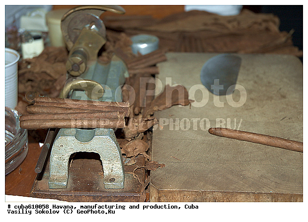 Havana cigar, ����, ��������� ������, ������������ �����, ��������� �����, ������, ������, �����, ��������