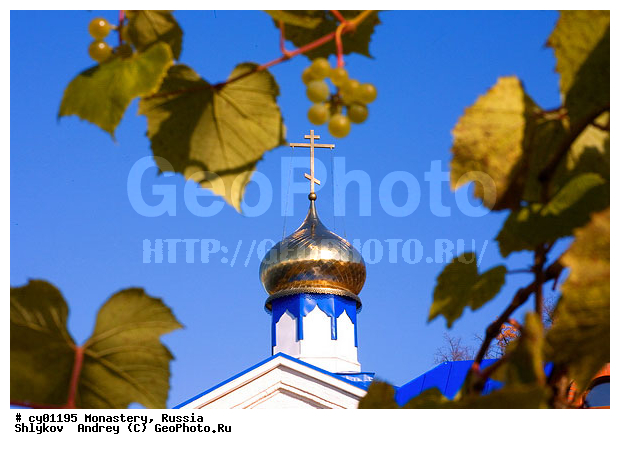 �����, ��������, ���������, ������, �����������, �������, ������������