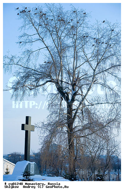 ������, ����, �����, ���������, ������, �����������, �������, ������������