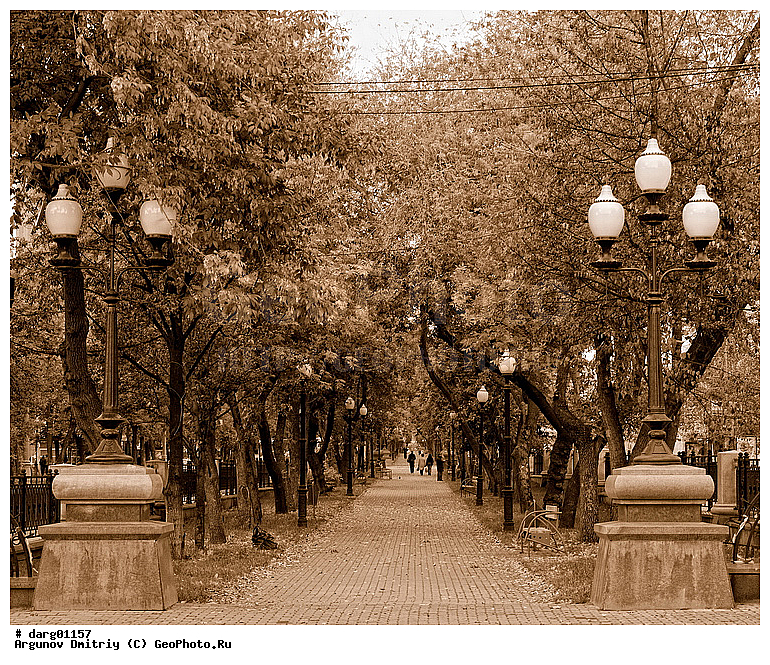 ������������, ������, �����, ���, ����, ����������������, ������, ������, ��������� ������, ��������, ����, ��������, ��������, ������