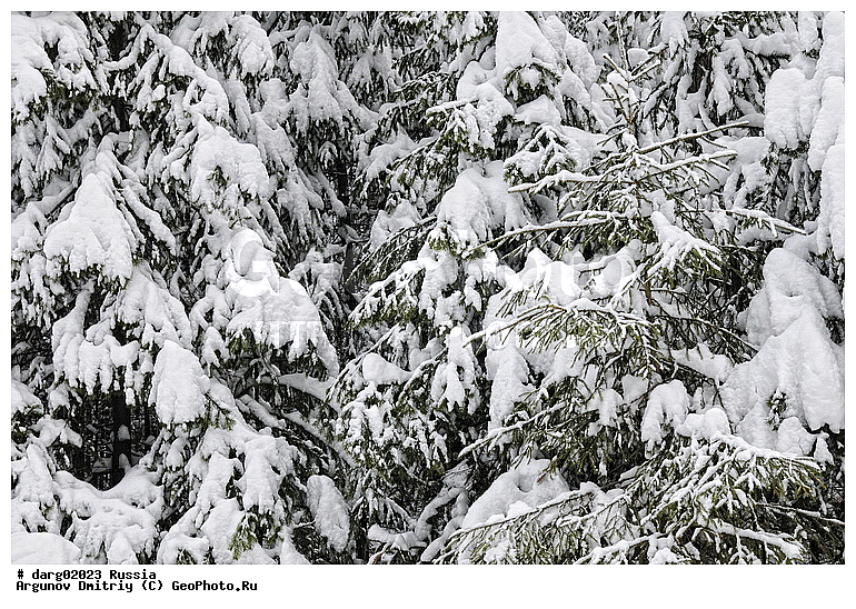 ����-����������, ����-���������� �����, ������, ������������ �������, ����, � �����, ������, �������, ���, �����������, ����, ���, ������, �������, ��������, ����, �����, �������, �����, ������, ���������, �����