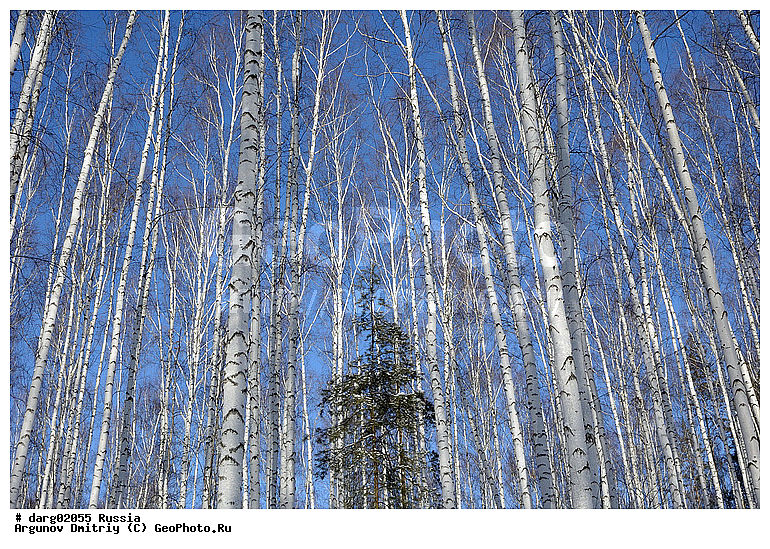 ������������, ������, ����, ������, ������, ������, �������, ����������������, ���, ������, ��������, ����, �������, ��������, �����, ������, ���������, �����