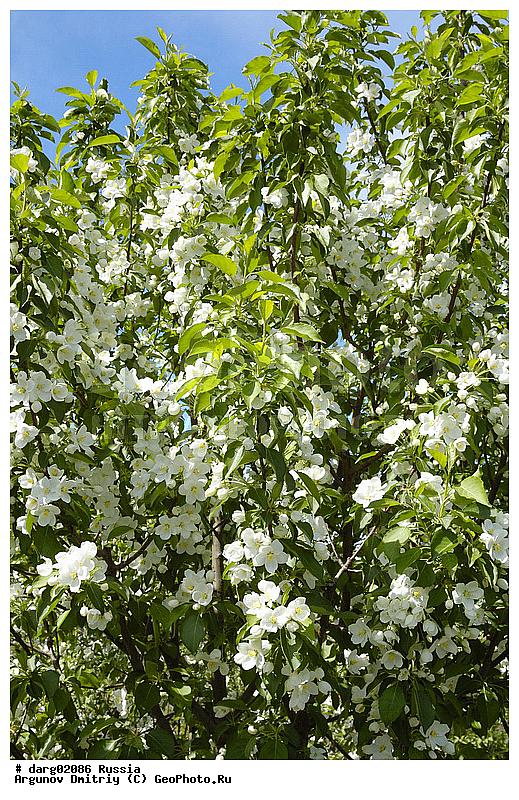 ������������, ������, ����, ������, �������, ����������������, ���, ������, ��������, ����, �������, ��������, �����, ������, ���������, �����, ��������, ������, ��� ����� �������