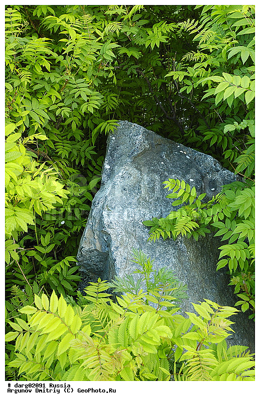 ������������, ������, ����, ����������������, ������, ���, ������, ��������, ����, �������, ��������, ���������, �����