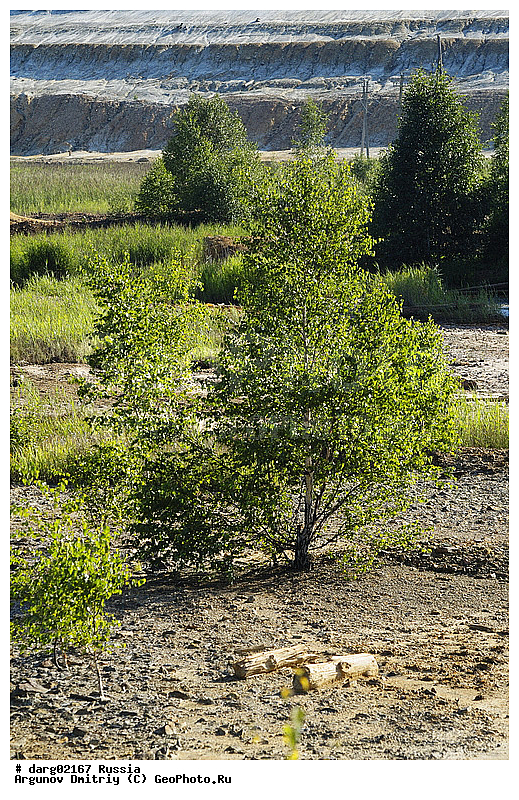 �������, ������, ����, ����������� �������, ����� ����, �����, ������, �����, ����� �������, ������, �������, ������, ���, ����, ������, ������, �������, ���������, ������, ���������, ������ �����, �������������