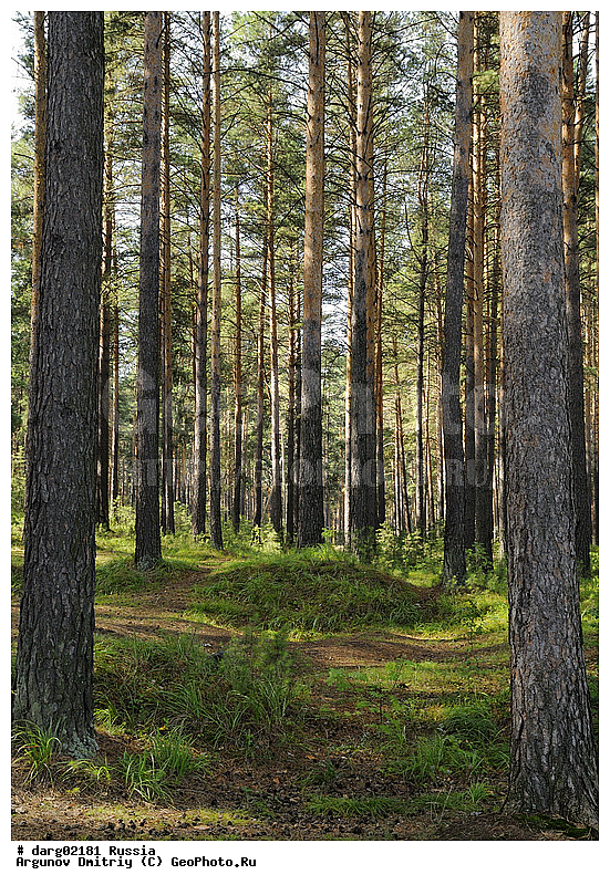 ������, ������������ �������, ����, ������, �������, ���, ������, �������, ��������, �����, ������, ����������, ���������, �����