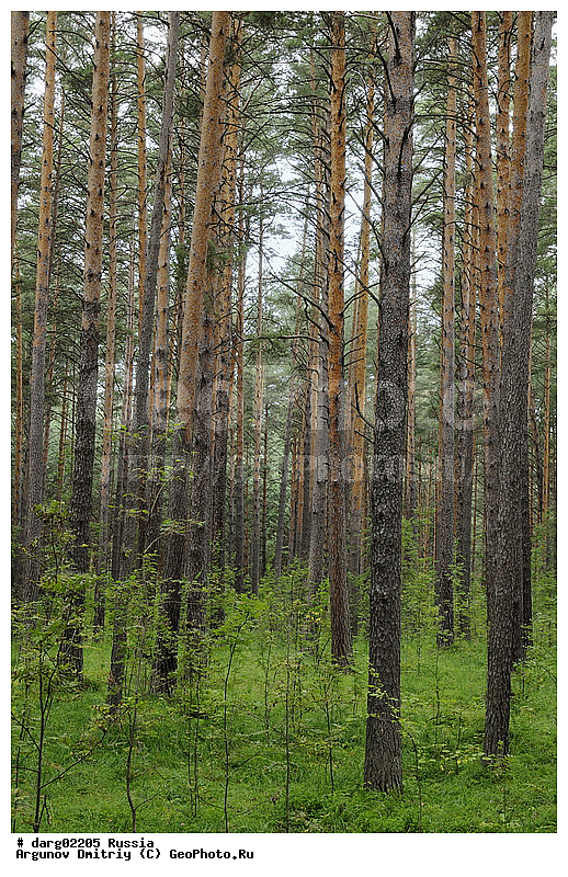 ������, ������������ �������, ����, ������, �������, ���, ������, �������, ��������, �����, ������, ����������, ���������, �����