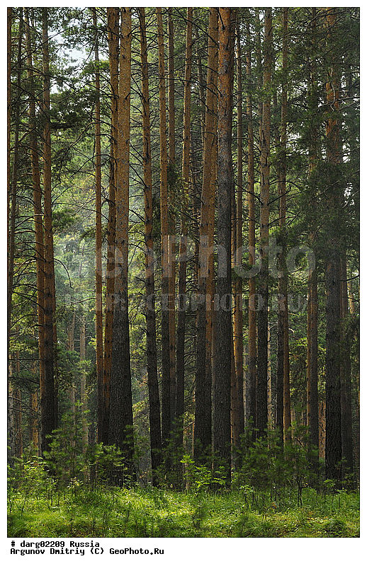 ������, ������������ �������, ����, ���, ������, �������, ��������, ����������, ���������, �����