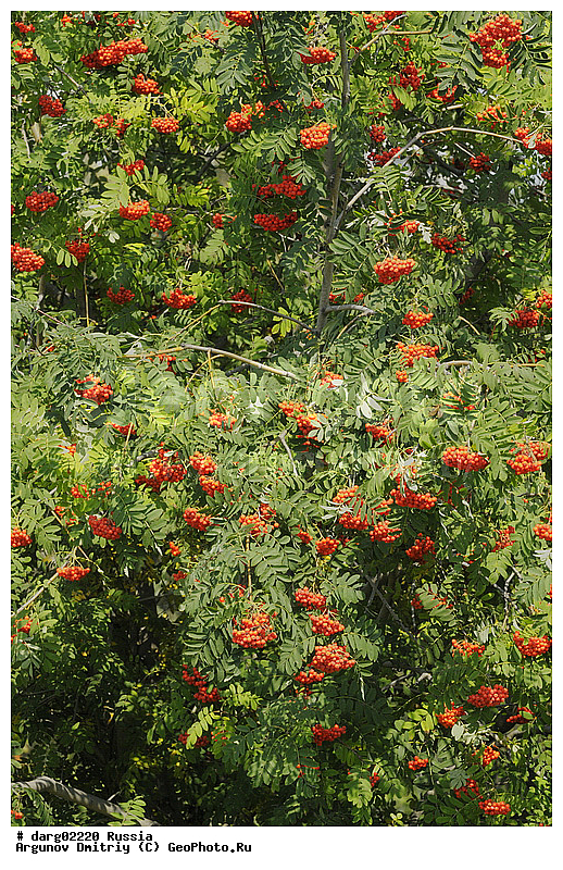 ������������, ������, ����, ������, ����������������, ���, ������, ��������, ����, �������, ��������, ������, ���������, �����, �����, ��� ����� �������