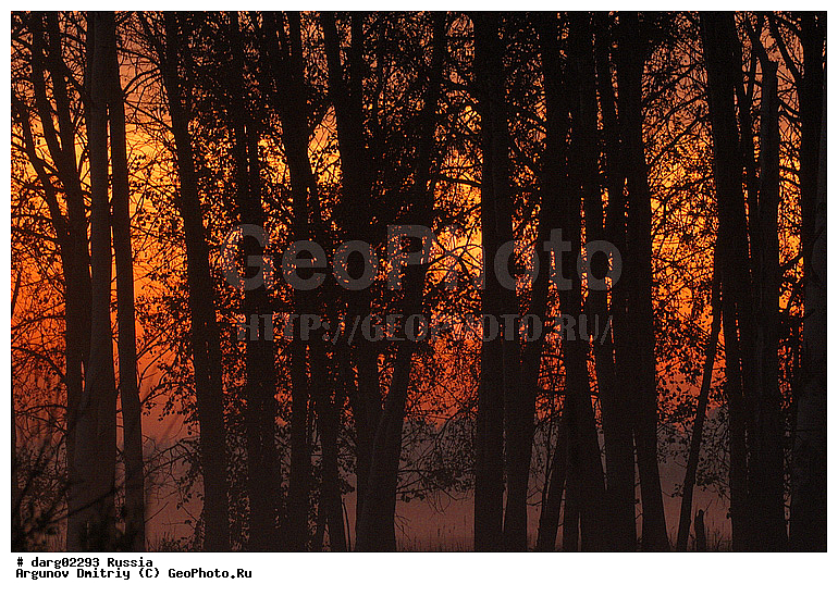 ������������ �����, ������, ������������ �������, ����, ������, �������, ���, ������, �������, �������, �����, ������, ���������, �����