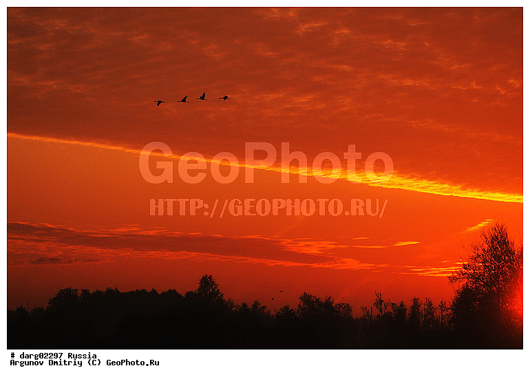 ������������ �����, ������, ������������ �������, ����, �������, ����, �������, ���������