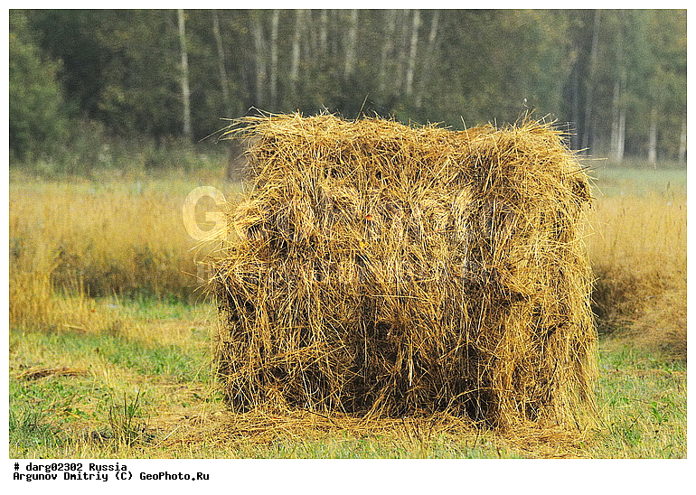 ������������ �����, ������, ������������ �������, ����, �������, ���, ����, �����, ����, ������, ����, �����, ���������