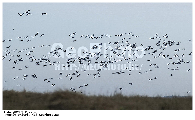 ������������ �����, ������, ������������ �������, ����, �������, ���������