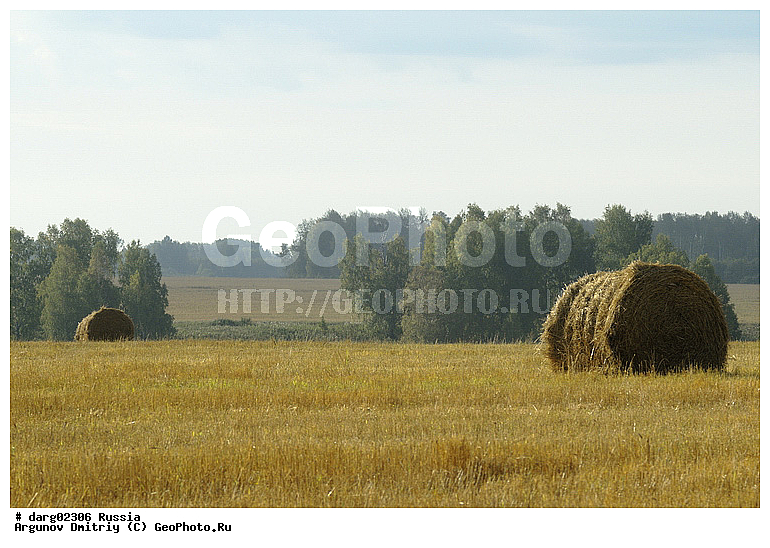 ������������ �����, ������, ������������ �������, ����, �����, ���������