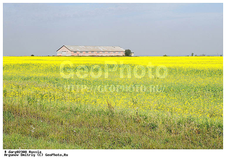 ������������ �����, ������, ������������ �������, ����, ��������� ����, ���, ������, ������, ���, �����, ���������, �����