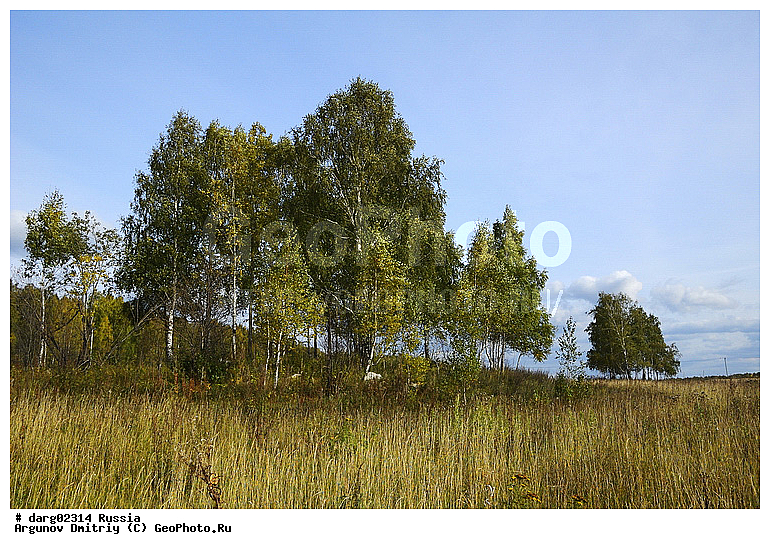 ������, ������������ �������, ����, ����������, ���������� �����, �����, ������, �������� ����, �����, ������, �������, ���, ����, ������, �������, �����, ������, �������, ���������, ������, ���������