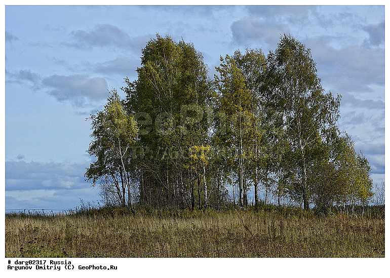 ������, ������������ �������, ����, ����������, ���������� �����, �����, ������, �������� ����, �����, ������, �������, ���, ����, ������, ������, �������, ���������, ������, ���������