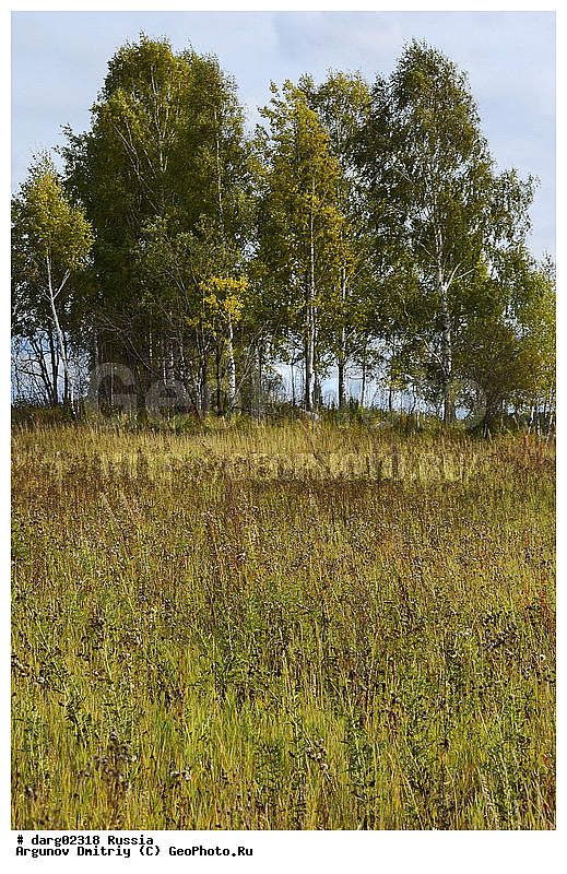 ������, ������������ �������, ����, ����������, ���������� �����, �����, ������, �������� ����, �����, ������, �������, ���, ����, ������, ���, ������, ����, �������, ���������, ������, ���������