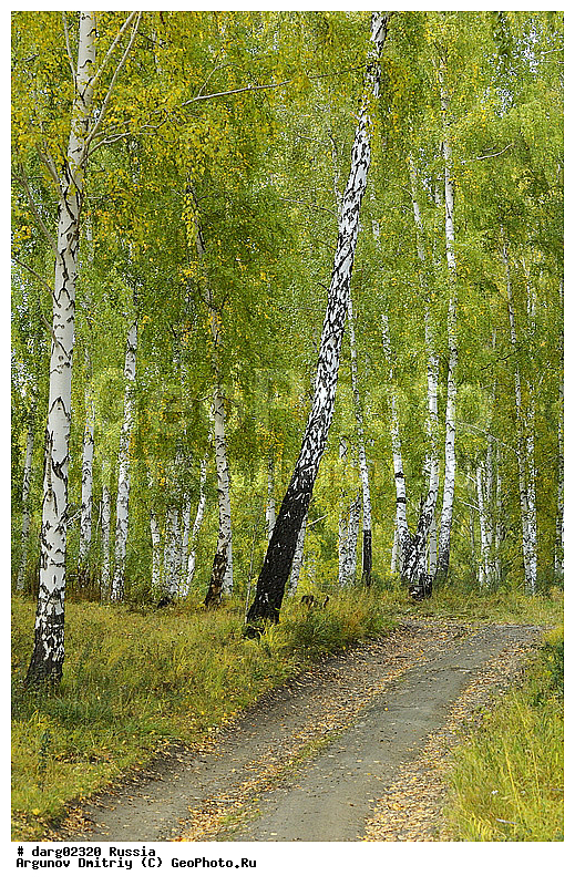 ������, ������������ �������, ����, ����������, ���������� �����, �����, ������, �������� ����, �����, ������, �������, ������, �������, ���, ����, ������ ������, ������, ������, �������, ���������, ������, �����, ���������