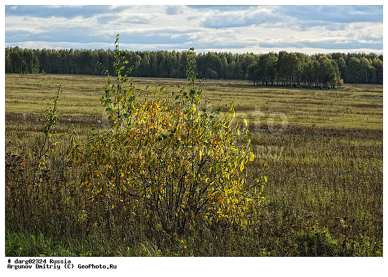 ������, ������������ �������, ����, ����������, ���������� �����, ������, �������, ���, ����, ������, ���, �������, �����, ������, ����, �������, ���������, ������, ���������