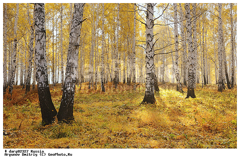 ������, ������������ �������, ����, ����������, ���������� �����, �����, ������, �������� ����, �����, ������, �������, ���, ����, ������, �������, �����, ������, �������, ���������, ������, ���������