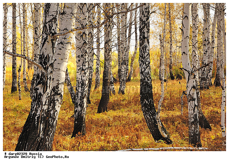 ������, ������������ �������, ����, ����������, ���������� �����, �����, ������, �������� ����, �����, ������, �������, ������, ���, ����, ������, �������, �����, ������, �������, ���������, ������, ���������