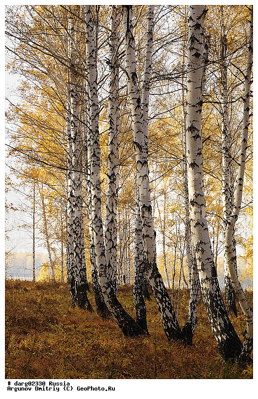 ������, ������������ �������, ����, ����������, ���������� �����, �����, ������, �������� ����, �����, ������, �������, ���, ����, ������, �������, �����, ������, �������, ���������, ������, ���������