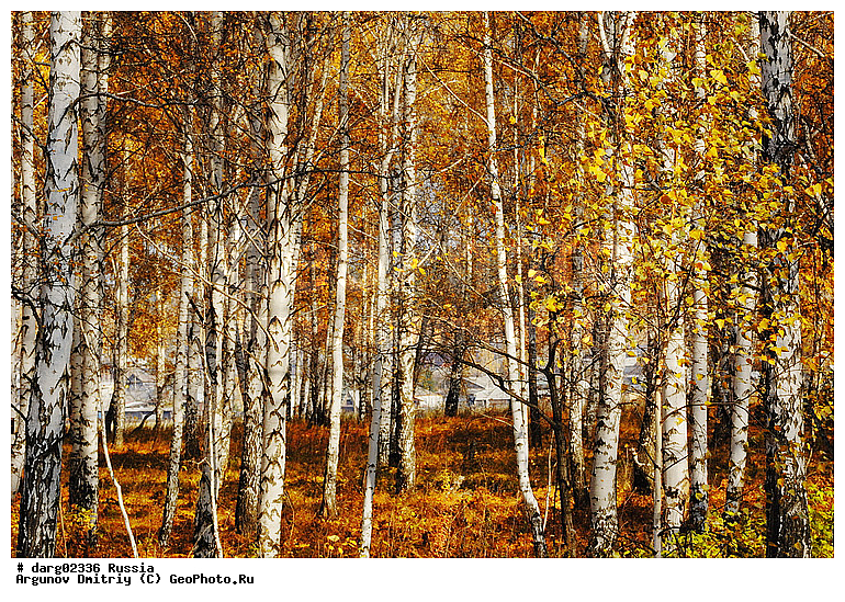 ������, ������������ �������, ����, ����������, ���������� �����, �����, ������, �������� ����, �����, ������, �������, ���, ����, ������, �������, �����, ������, �������, ���������, ������, ���������