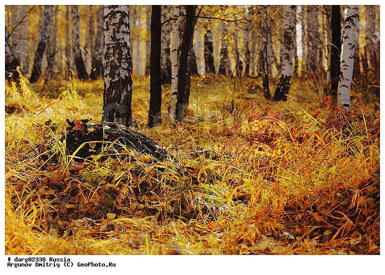 ������, ������������ �������, ����, ����������, ���������� �����, �����, ������, �������� ����, �����, ������, �������, ������, ���, ����, ������, �������, �����, ������, �������, ���������, ������, �����, ���������