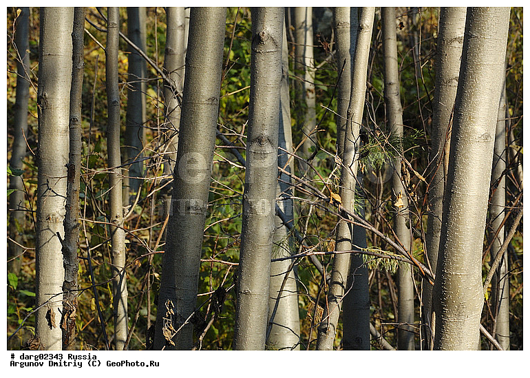 ������, ������������ �������, ����, ����������, ���������� �����, ������, �������, ������, ���, ����, ������, �������, �����, �����, �����, ������, �������, ���������, �����, ������, ���������