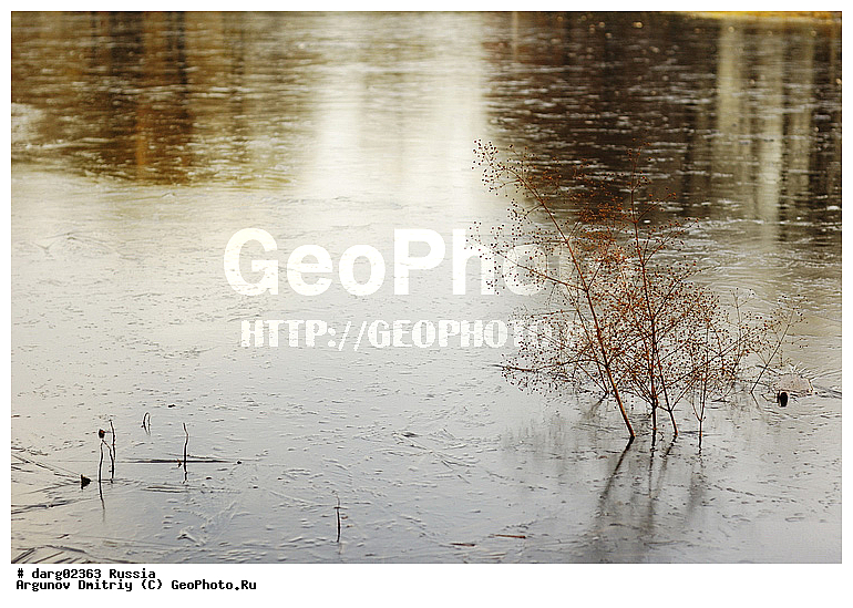 ������������, ������, ����, ������, ����������������, ��������, ����, �������� �����, ���������