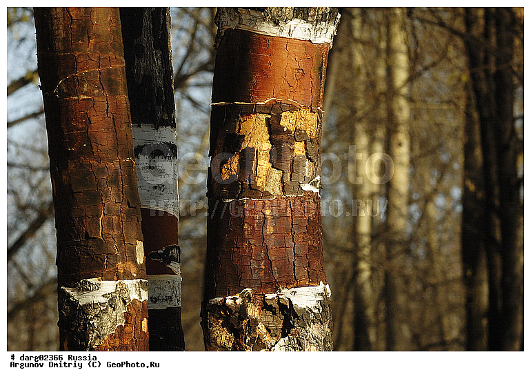 ������������, ������, ����, ������, ������, �������, ����������������, ���, ������, ��������, ����, �������, ��������, �����, ������, ���������, �����