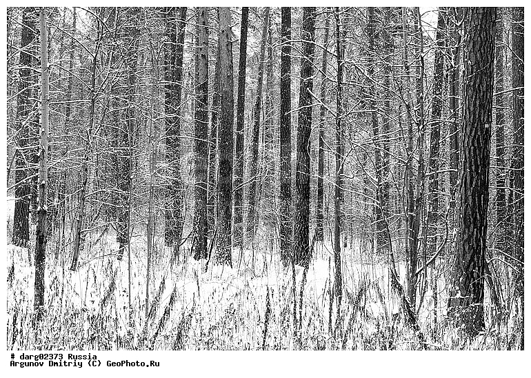 ������������, ������, ����, � �����, ����������������, �����������, ����, ���, ������, ��������, ����, �������, ��������, ����, �����, �������, ���������, �����