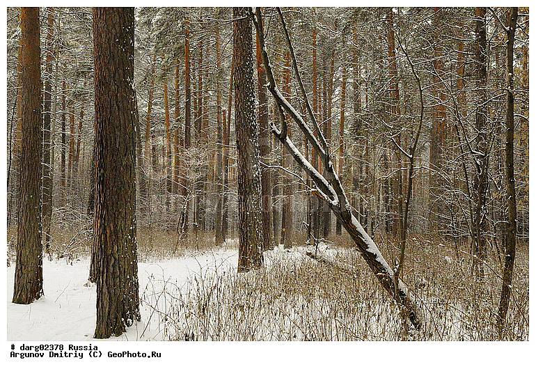 ������������, ������, ����, � �����, ����������������, �����������, ����, ���, ������, ��������, ����, �������, ��������, ����, �����, �������, ���������, �����