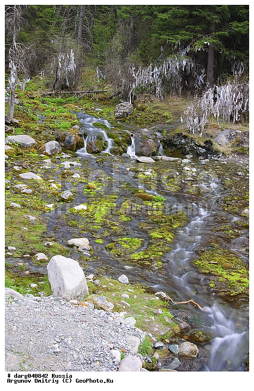 �����, �������� ������, �������, ���������, ������, �����, ���, ������, ���������� �����, �����, �����, �����