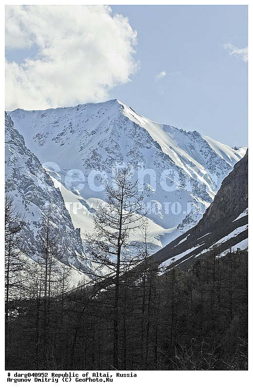 �����, �����, ����, �������� ������, ����������, ������, ���������, �������, �����, ����, ������, ����, �����������, ������, ������, ���������� �����, ����, �������, �������, �����, ������