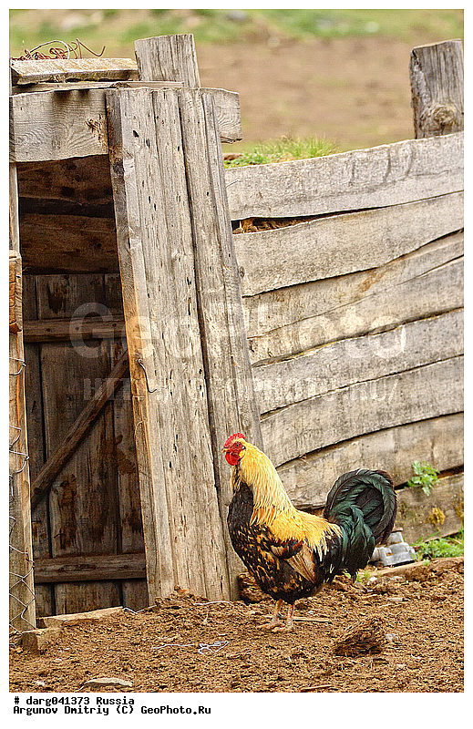 �����, �������� ������, ���������, ���������, ��������, ��������, ��������, �����, �����, �����, ���������� �����, �����