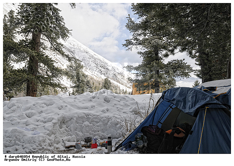 �����, �����, ����, �������� ������, ����������, ������, ���������, �������, ����, ������, ����, �����������, ������, �������, ������, ���������� �����, �������, ����������, ����, �������, �������, �����, ����������, ������