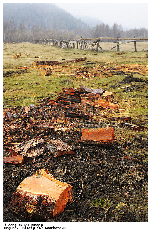 �����, �������� ������, ����������� �����, �����, ���������, �����, ����, ���������� �����