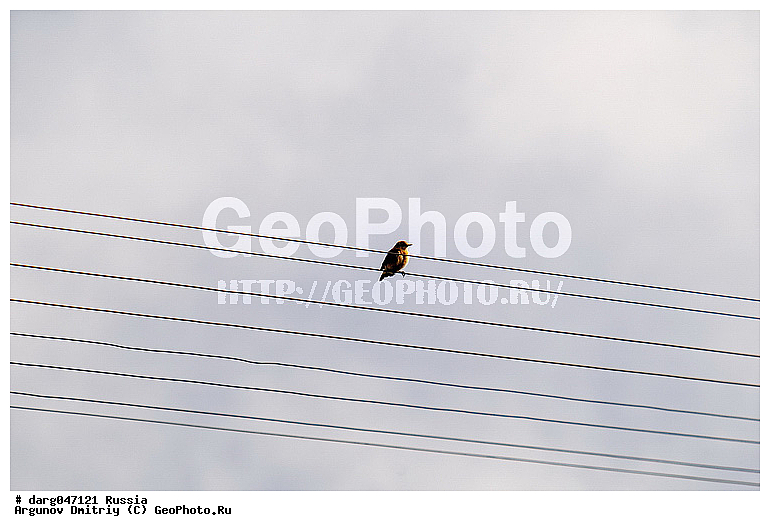 �����, �������� ������, ���������, ���������, �� ��������, �������, �����, �����, ���������� �����, �����, �����