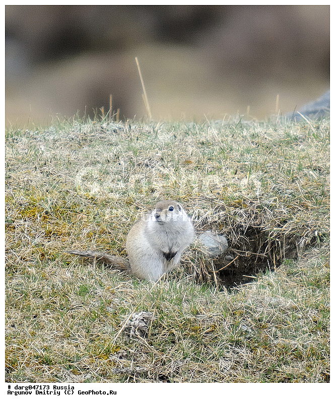 �����, ��������, ������, �����, ��� ����� �������