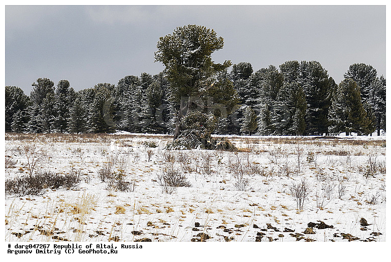 �����, ����������, ������, ���������, ���������, ������, ������, �������, ����, ������, ���, ����, ������, ������, �������, ����, �������, ���������, ����, ������